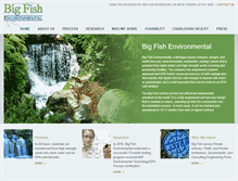 Tablet Screenshot of bigfishenvironmental.com